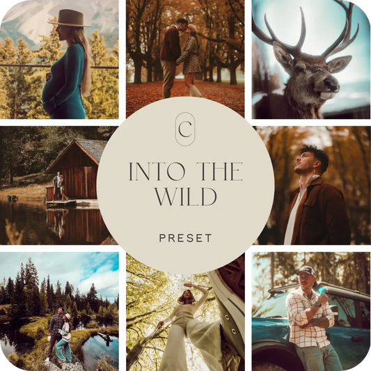 Into The Wild CREATE by Ana Johnson